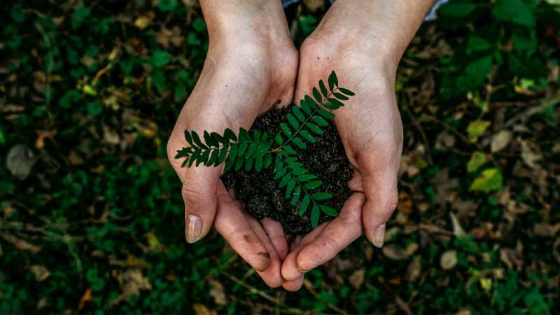 ESHD Environmental Services