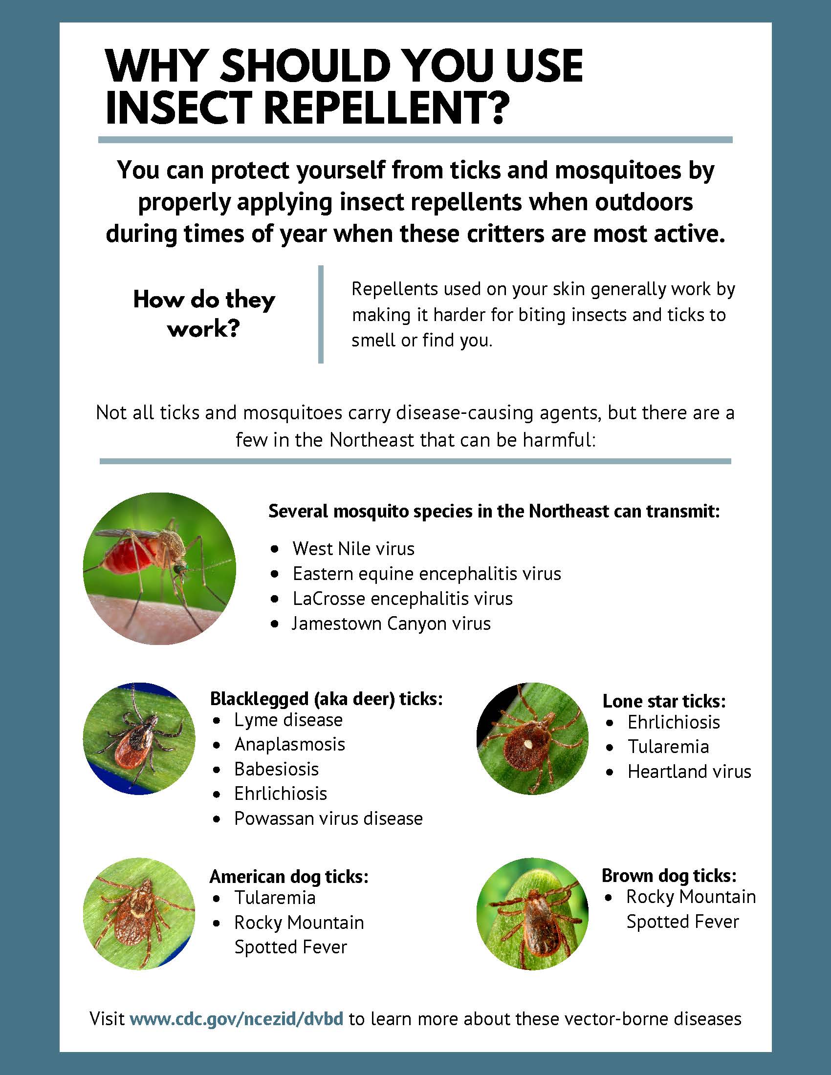 insect-repellent-essentials_-a-brief-guide_final_Page_2