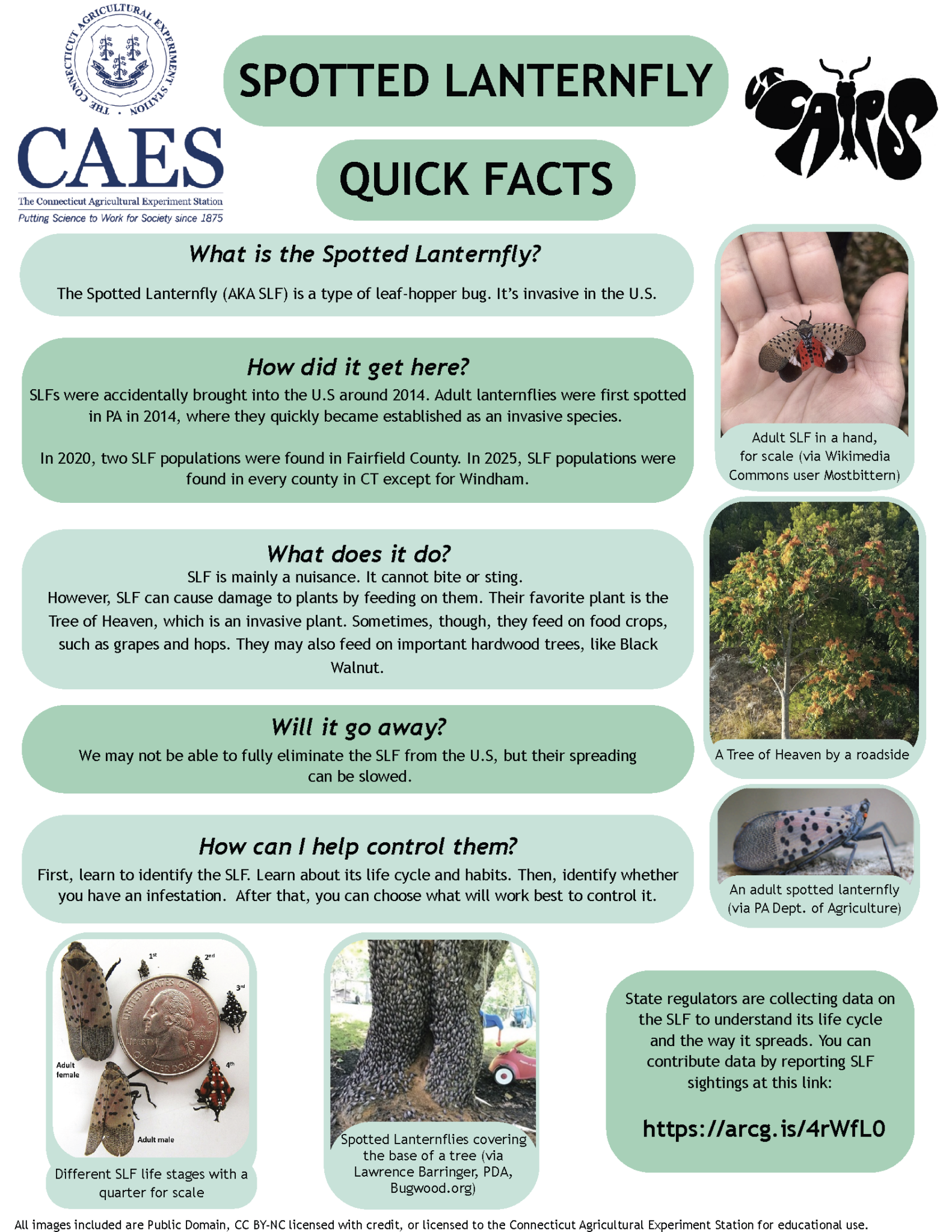 SLF Quick Facts and Management_Page_1